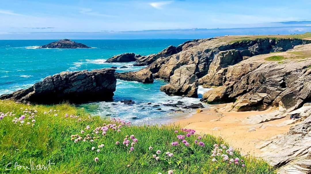 Appartement Cocon A Quiberon Dans Residence Calme, Plages Et Centre Ville A Pied Ou A Velo Pour 2 A 4 Personnes Exteriér fotografie