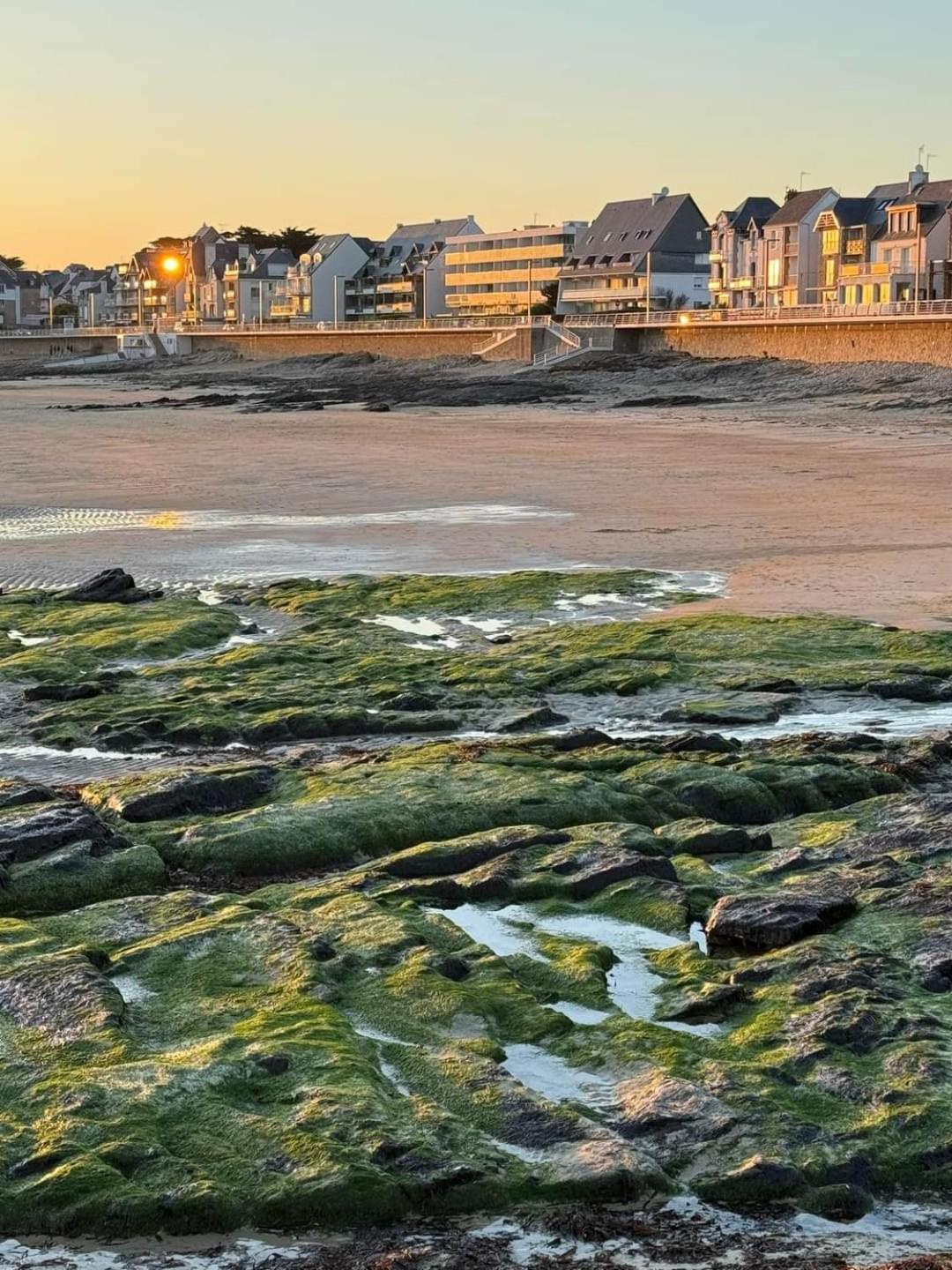 Appartement Cocon A Quiberon Dans Residence Calme, Plages Et Centre Ville A Pied Ou A Velo Pour 2 A 4 Personnes Exteriér fotografie