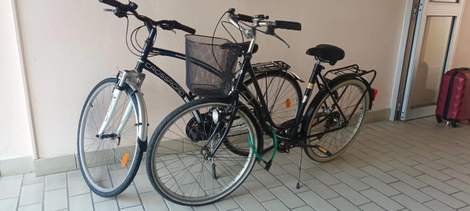 Appartement Cocon A Quiberon Dans Residence Calme, Plages Et Centre Ville A Pied Ou A Velo Pour 2 A 4 Personnes Exteriér fotografie
